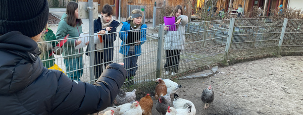 Das Farbfoto zeigt eine Gruppe von Kindern an einem Hühnergehege. Sie stehen hinter einem Zaun, beobachten die Hühner und machen Notizen. Im Hintergrund sind Holzhütten zu sehen.