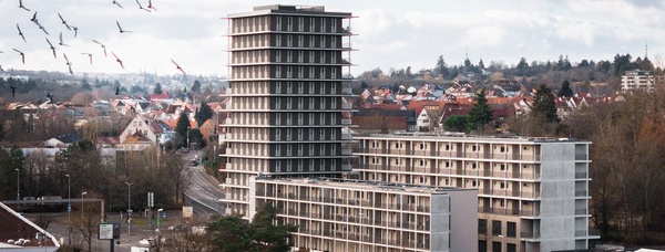 Ein farbiges Foto zeigt ein modernes Holzhybridhochhaus mit vielen Balkonen an einer Straße. Im Hintergrund sind rote Dächer und Bäume zu sehen. Vögel fliegen über das Gebäude. 