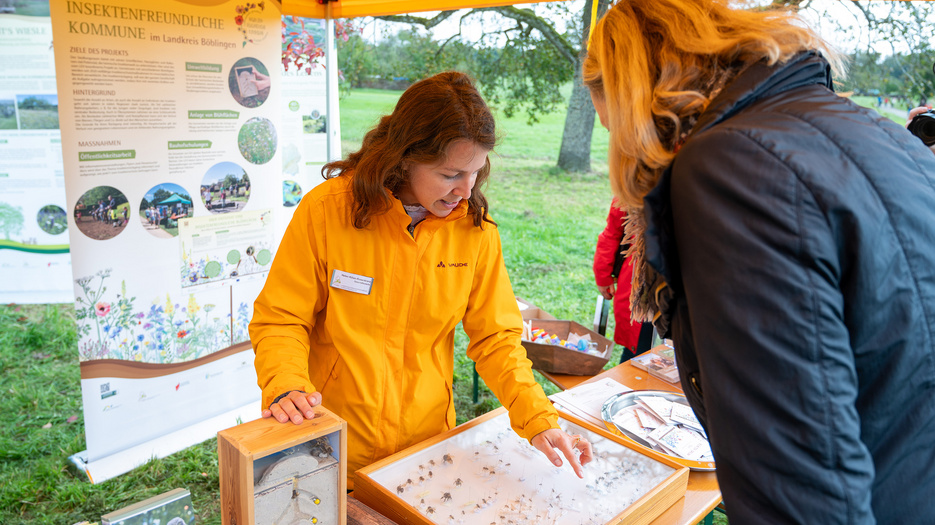 Im Rahmen der Klimalaendtage Baden-Württemberg macht Umweltministerin Thekla Walker Halt an einem Stand und schaut sich verschiedene Insekten in einem Schaukasten an.