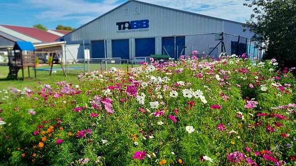 Blumenwiese vor der Halle der Tennisabteilung SV Böblingen