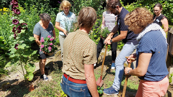 Mehrere Personen stehen in einen Garten zusammen und pflanzen Blumen.