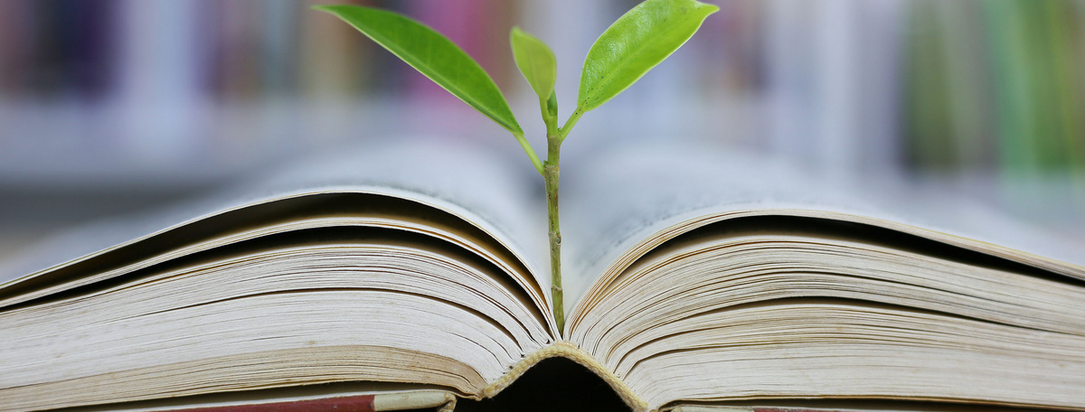 Ein aufgeschlagenes Buch und ein Sprössling, der in der Mitte des Buches in die Höhe wächst.